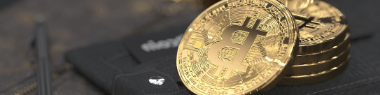 투자 자문 (Investment Advisory)