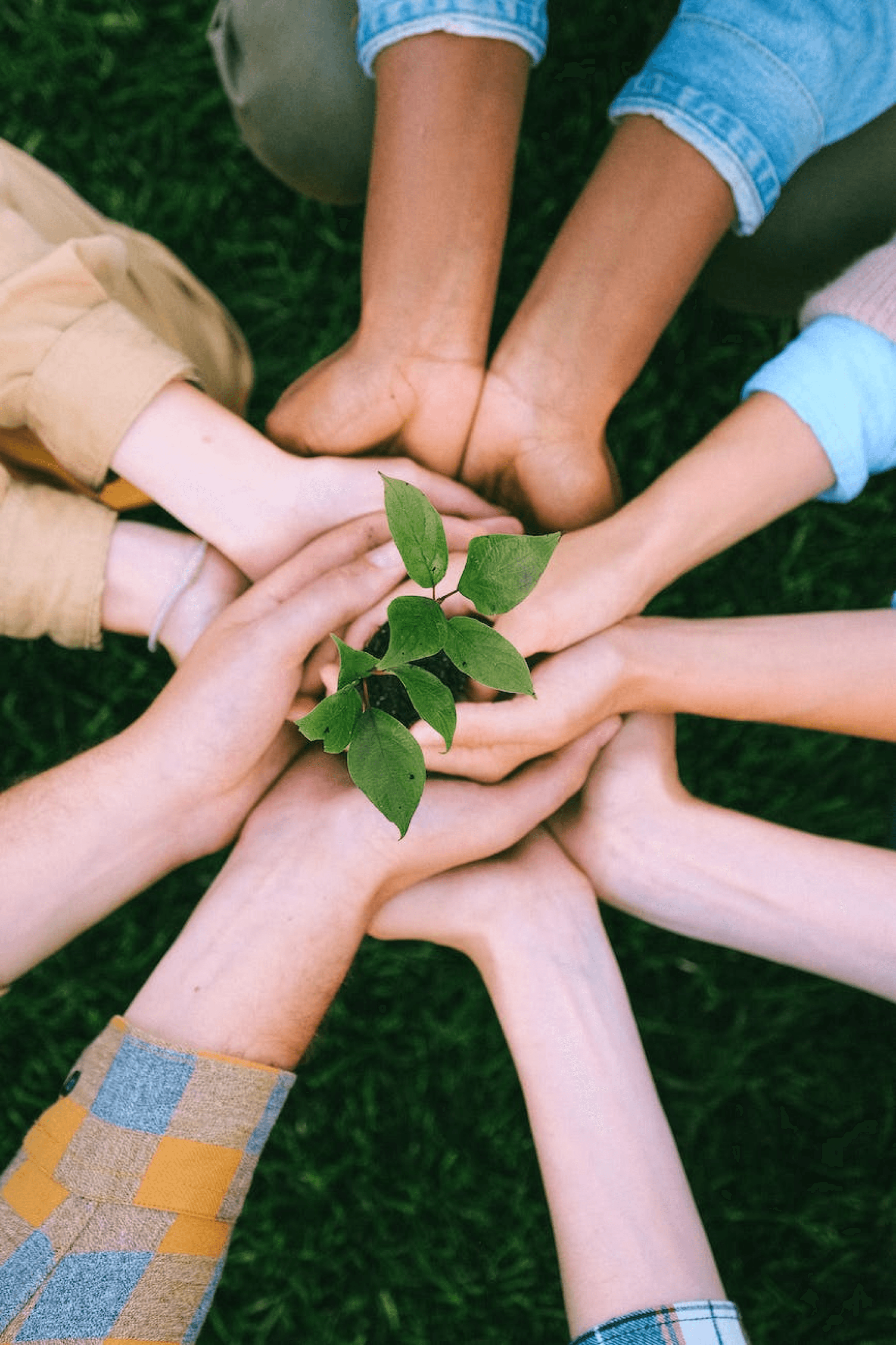 Environmental, Social, and Governance